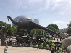 -陕西自然博物馆