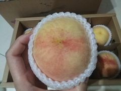 -田园东方蜜桃村的田野营地