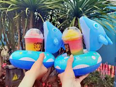 -珠海长隆海洋王国