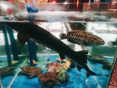 -SEA西雅图海鲜自助餐厅(海乐世界店)