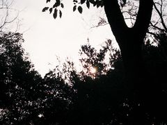 -江心屿景区