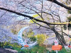 -杭州少年儿童公园