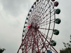 -南湖梦幻岛
