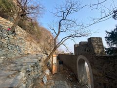 -北京鹫峰国家森林公园