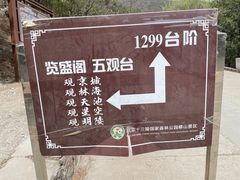 -北京十三陵国家森林公园蟒山景区