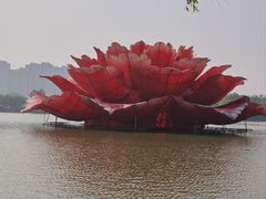 -洛阳市隋唐城遗址植物园