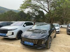 -西双版纳原始森林公园