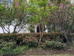 -西郊5号·Maggie 5