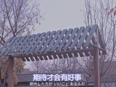 -三里河公园