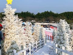 -盈香心动乐园