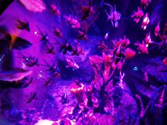 -沈阳海洋探索中心