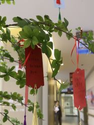 -郑州万安妇产医院