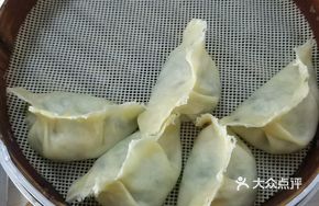 Assorted Vegetable Dumplings