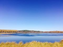 -塞罕坝国家级自然保护区