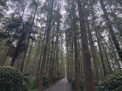 -上海怡沁园度假酒店