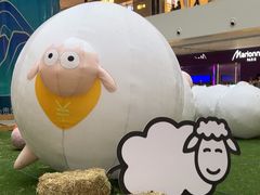 -阳光天地