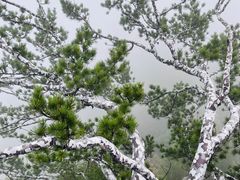 -少华山国家森林公园