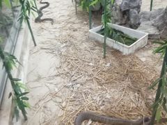 -荔城生鲜盛宴(番禺旗舰店)