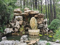 -上海醉白池公园