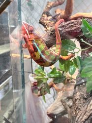 -Zoolung Zoolung动物主题公园(海信广场店)