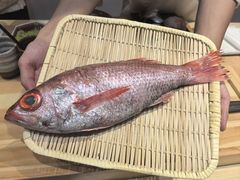 -镹·鱼料理  国产鱼使用店