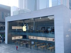 -Apple零售店(成都太古里店)