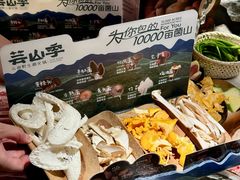 -芸山季·云南山珍菌火锅(人民广场来福士店)