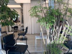 -Hair  Gallery