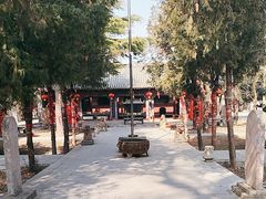 -中华神医扁鹊庙