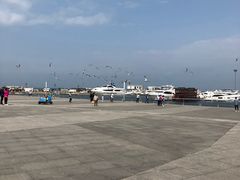 -东港音乐喷泉广场