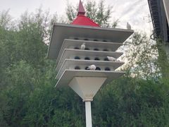 -铁木真自助餐厅(大庆路店)