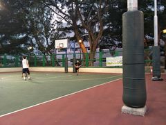 -香港佐治五世纪念公园