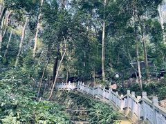 -都江堰普照寺