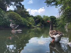 -龙井壹号·茶缘山景宴(龙井村店)