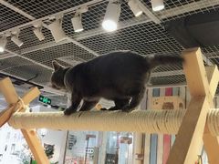 -小时光咖啡馆(开森度假森林店)