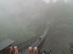 -娄山关景区