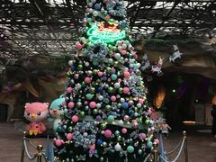 -杭州开元森泊度假乐园