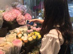 -溪岸路花鸟市场
