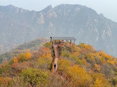 -大岭沟猕猴桃谷风景区