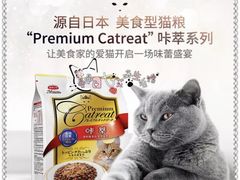 -爱宠屋pet shop·宠物洗澡·宠物美容