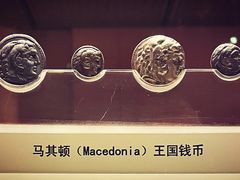 -上海博物馆(人民广场馆)