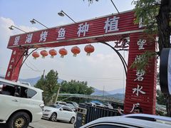 -望湖烤鱼
