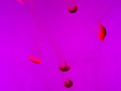 -沈阳海洋探索中心