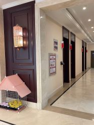 -南京医科大学友谊整形外科医院