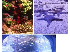 -多彩贵州城极地海洋世界