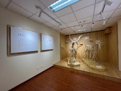 -北京麋鹿生态实验中心