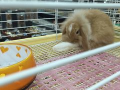 -乐宠宠物店(世纪金源店)