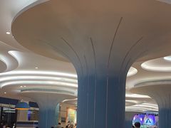 -帝企鹅自助餐厅•儿童岛•真企鹅(长隆企鹅酒店)