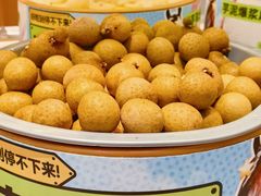-龍歌自助小火锅(市南金茂湾店)