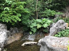 -顺峰山公园